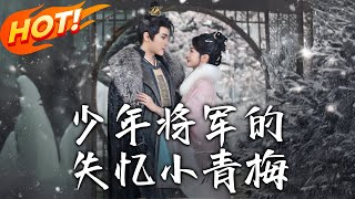 少年將軍的失憶小青梅