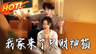 The Lucky Cat Came to My House