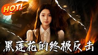 黑蓮花的終極反擊