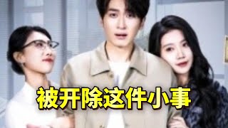 被開除這件小事