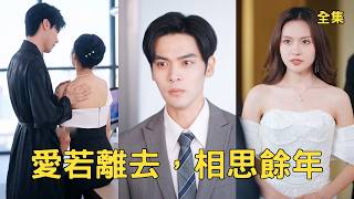 八年宠妻被绿，我逆袭成人生赢家