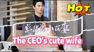 The CEO's Cute Wife