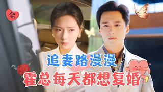 五年婚姻的终结