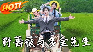 野薔薇與多金先生