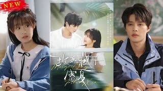 玫瑰藏於盛夏