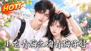 小龙青梅之嗨青梅你好