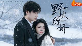 Wild Fire Entangles the Delicate Beauty