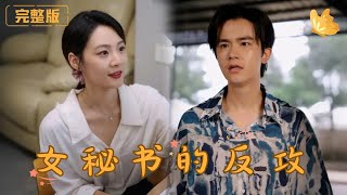 女秘書的反攻