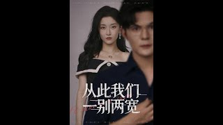 從此我們一別兩寬