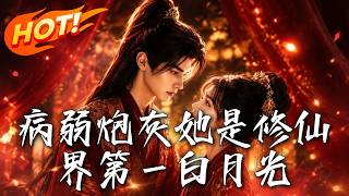 病弱炮灰她是修仙界第一白月光
