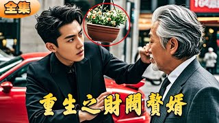 重生之財閥贅君子