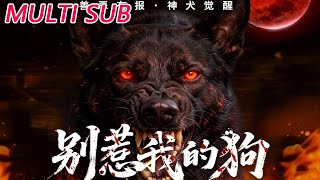 Don't Mess With My Dog