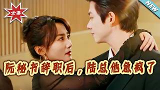 阮秘书辞职后，陆总他急疯了