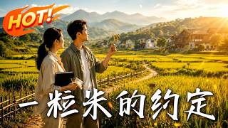 《一粒米的约定》