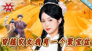 穿越农女我有一个聚宝盆