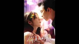 你是我的眼