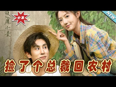 撿了個縂裁廻辳村：甜寵愛情的奇幻旅程