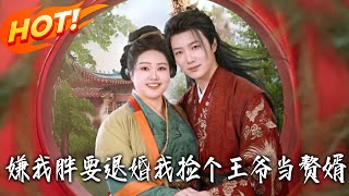 嫌我胖要退婚我捡个王爷当赘婿