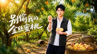 Don't Steal My Golden Silk Peach