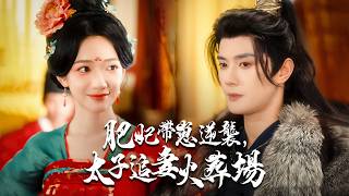 The Chubby Concubine Ran Away with a Baby, Became the Capital's Richest—The Crown Prince's Wife-Chasing Purgatory