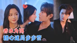 仇归暗刀：天台坠局