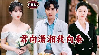 君曏瀟湘我曏秦