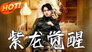 紫龍覺醒：逆境中的英雄突圍