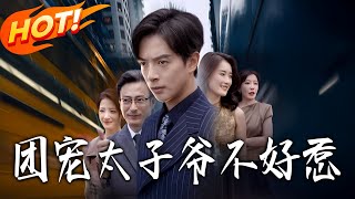 團寵太子爺不好惹