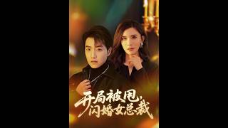 Flash Marriage with the Female CEO After Being Dumped