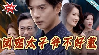 團寵太子爺不好惹