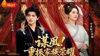 Scheme for the Phoenix! Restore the Family's Glory