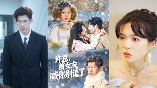 President Xu, Your Ex-Girlfriend Tells You to Stop Chasing