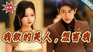 我救的美人，想害我
