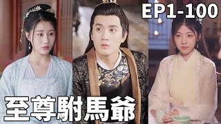 至尊駙馬爺