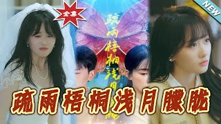 疏雨梧桐淺月朦朧