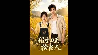 Harvesting a Good Man in the Rice Fields