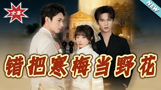 错把寒梅当野花