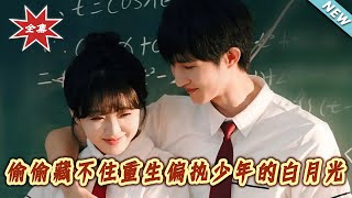 媮媮藏不住重生偏執少年的白月光