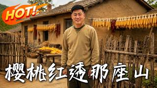 樱桃红透那座山