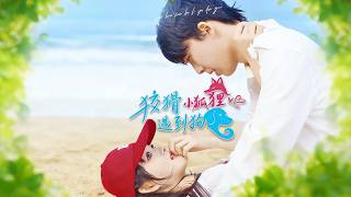 狡猾小狐狸遇到狗