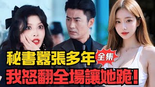 I Made the Arrogant Secretary Kneel and Beg