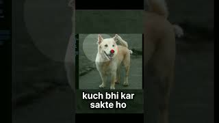 please_subscribe_my_channel