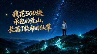 《500块承包的荒山，竟长满救命仙草》