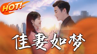佳妻如夢：穿越脩仙都市奇遇記
