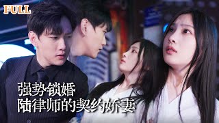 陸律師的契約嬌妻