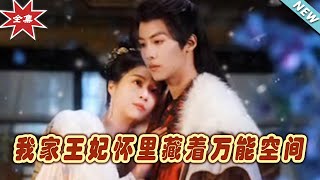 我家王妃懷裡藏著萬能空間