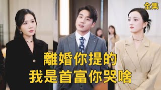 離婚你提的我是首富你哭啥