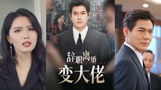 辤職離婚變大佬