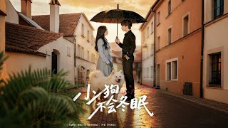 The Puppy Never Hibernates