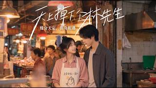天上掉下来个林先生